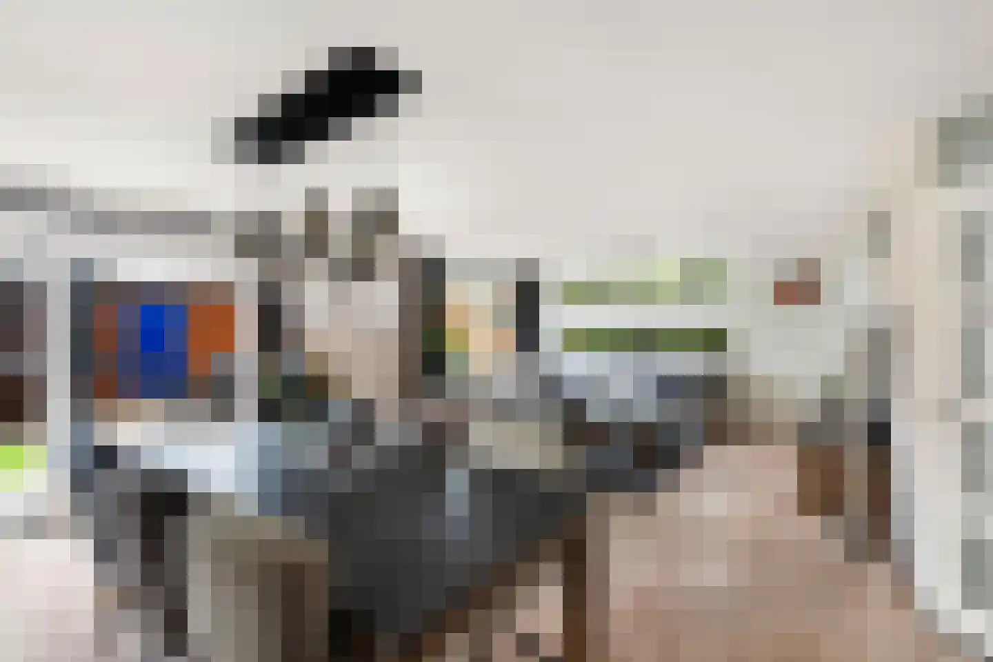 Brabantstraat 13 Alphen aan den Rijn thumbnail 20