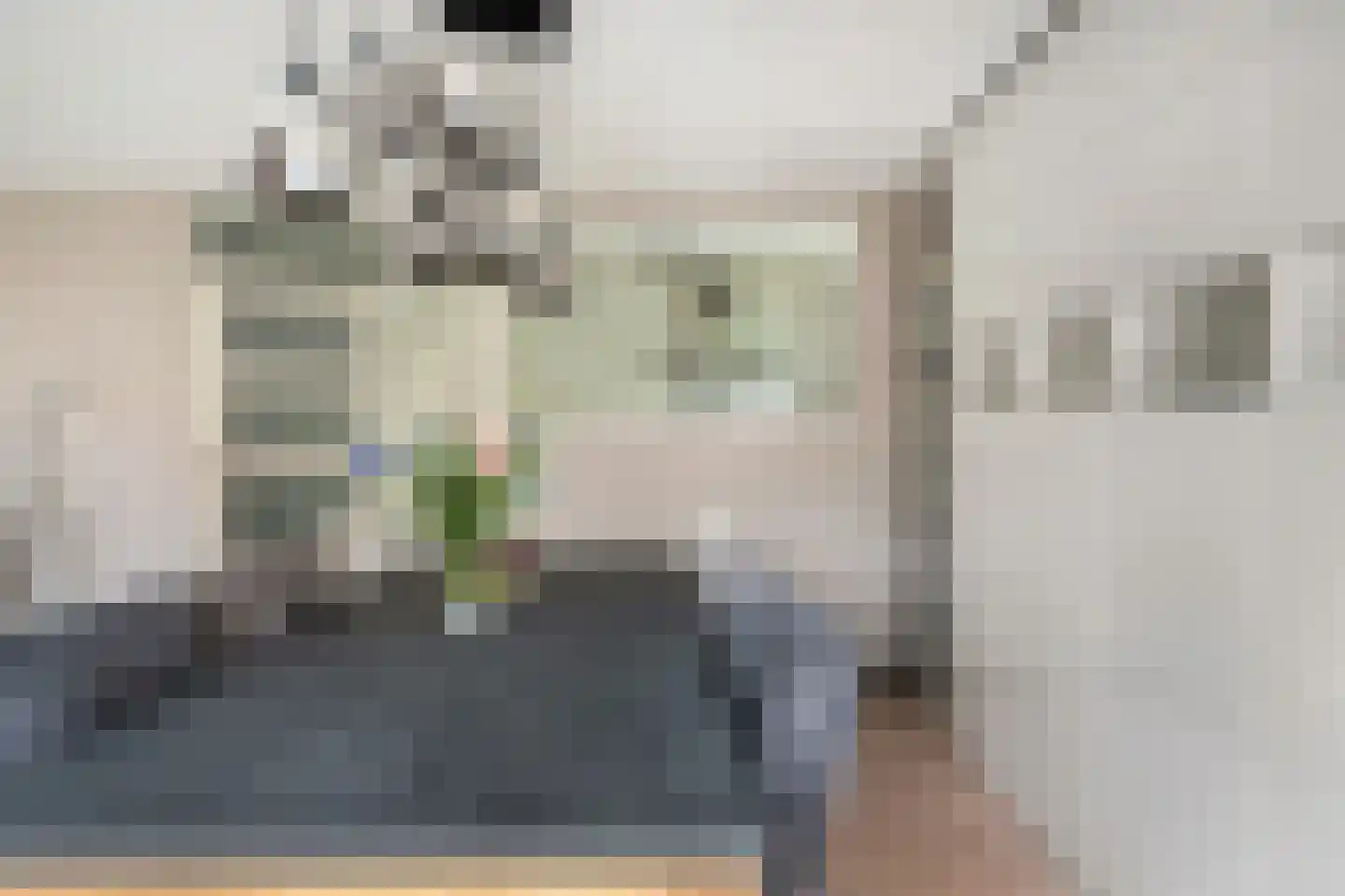 Brabantstraat 13 Alphen aan den Rijn thumbnail 21