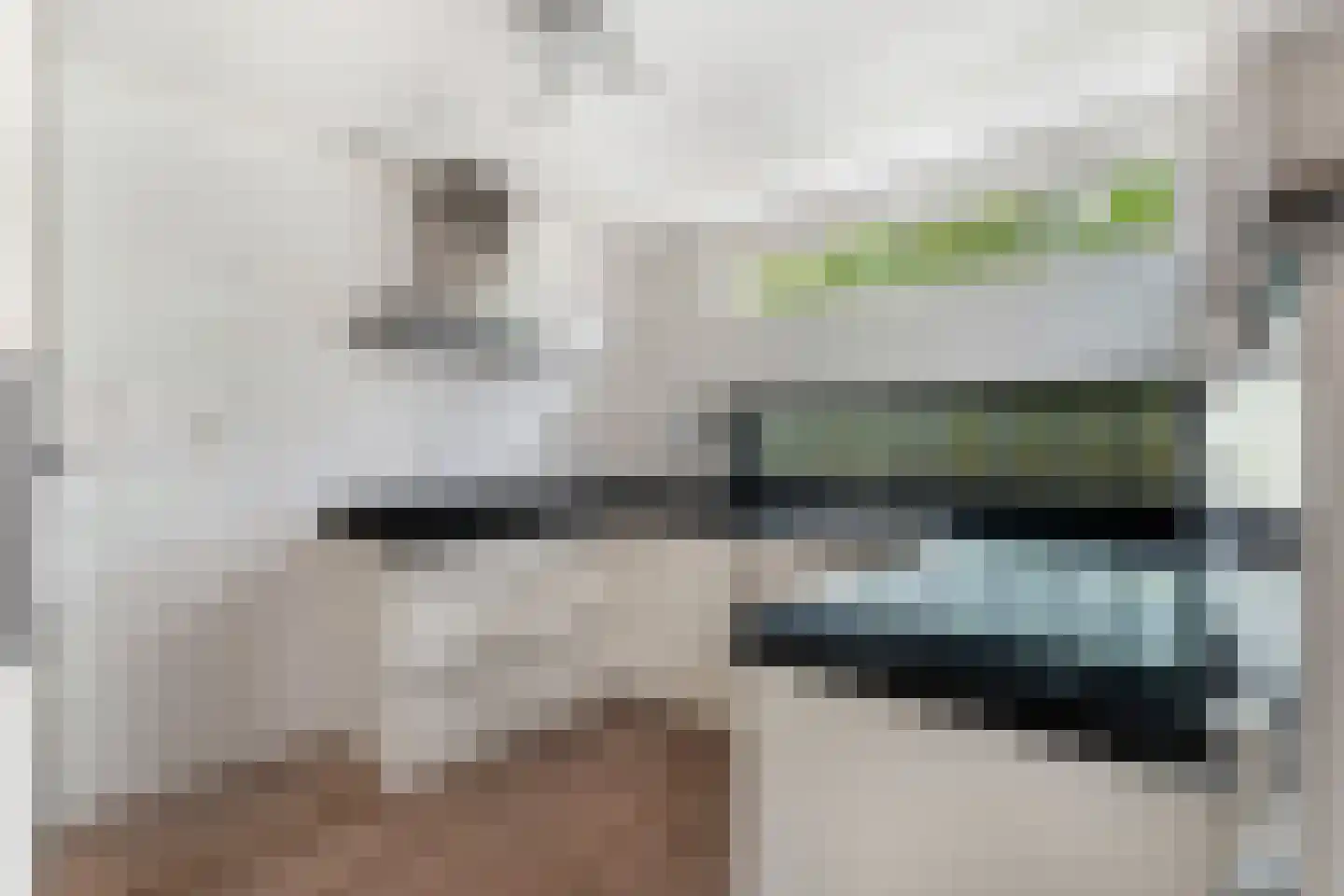 Brabantstraat 13 Alphen aan den Rijn thumbnail 22