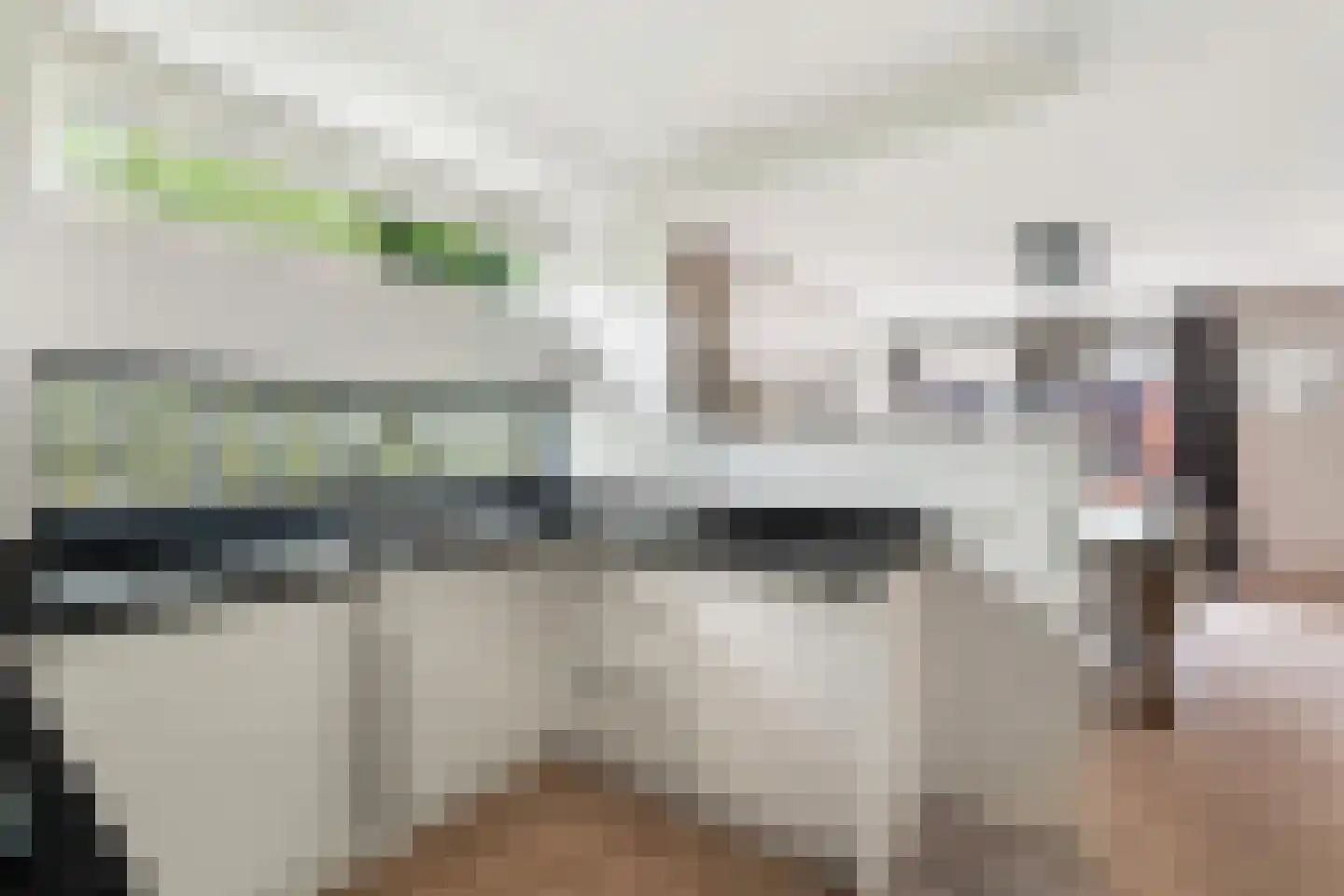 Brabantstraat 13 Alphen aan den Rijn thumbnail 24