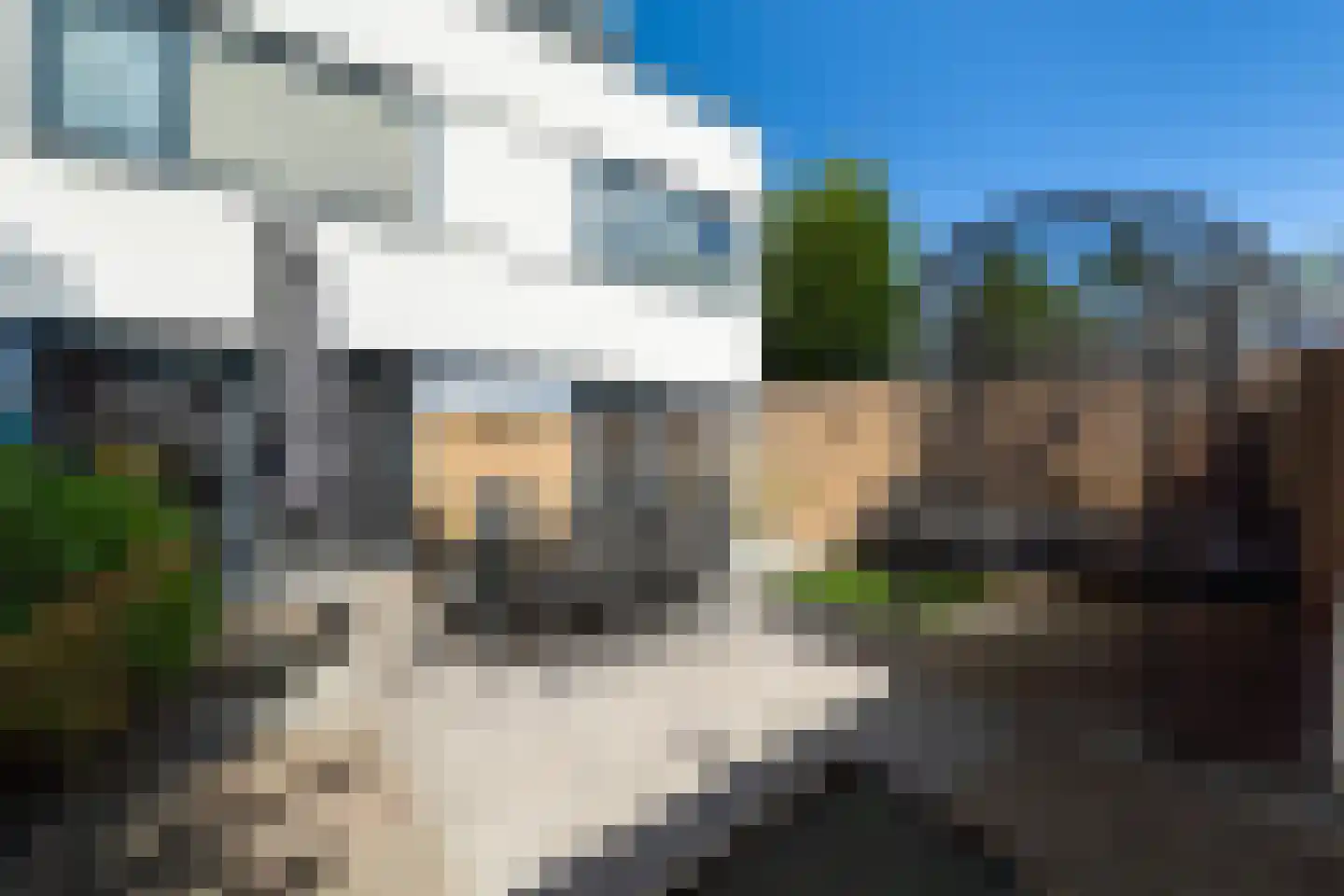 Brabantstraat 13 Alphen aan den Rijn thumbnail 28