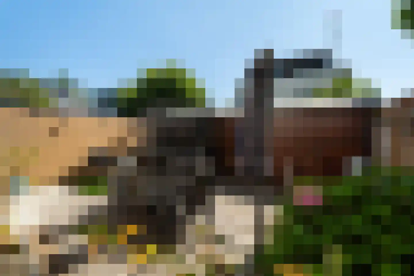 Brabantstraat 13 Alphen aan den Rijn thumbnail 31
