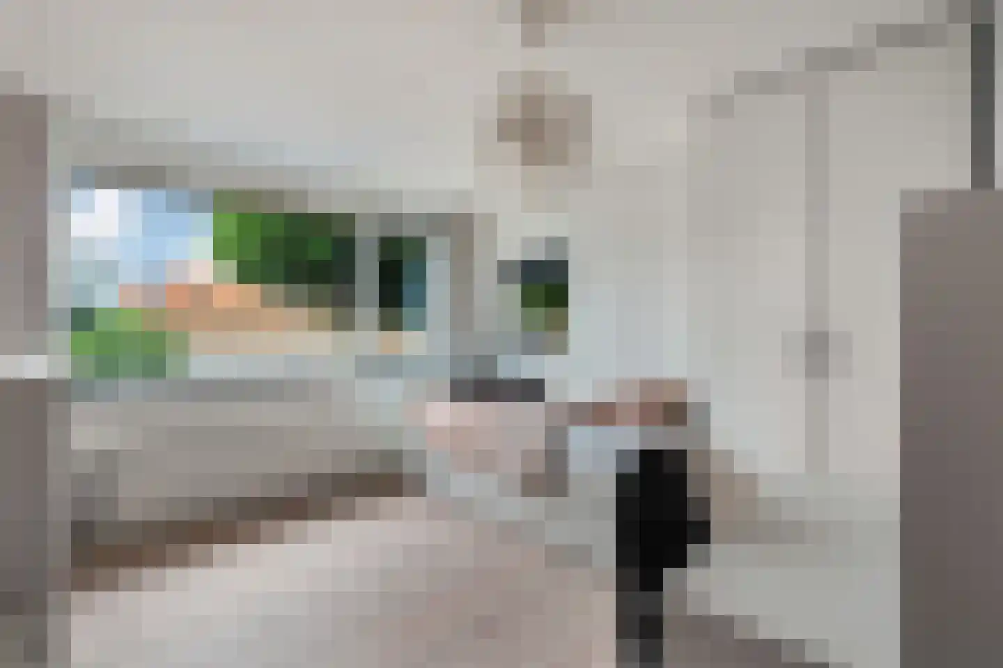 Brabantstraat 13 Alphen aan den Rijn thumbnail 39
