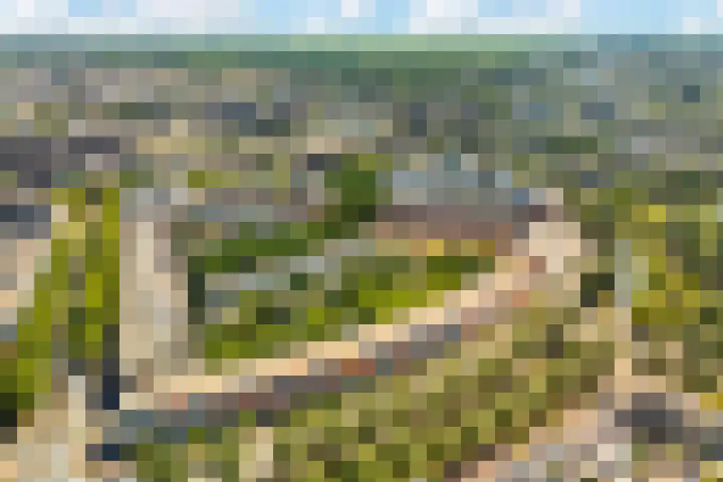 Brabantstraat 13 Alphen aan den Rijn thumbnail 4