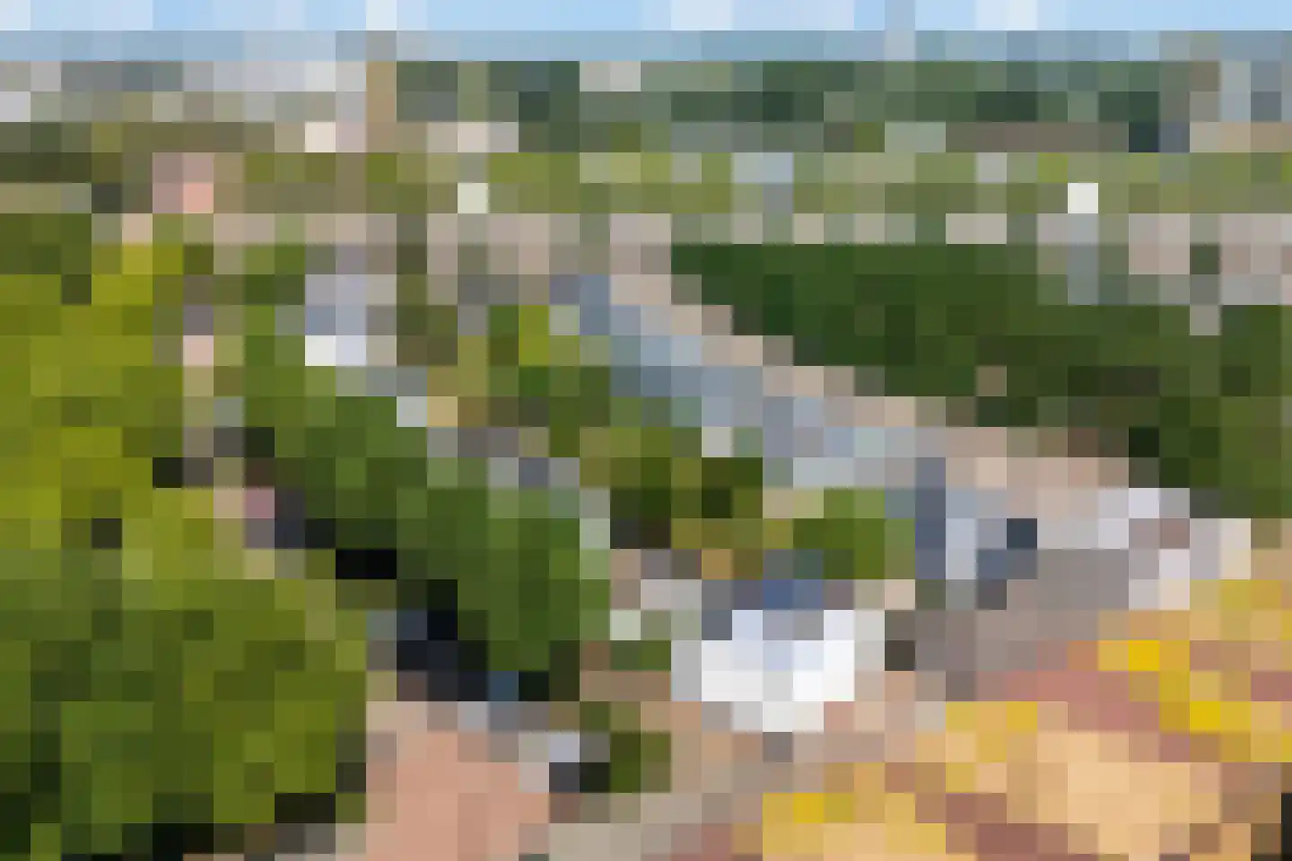 Brabantstraat 13 Alphen aan den Rijn thumbnail 54