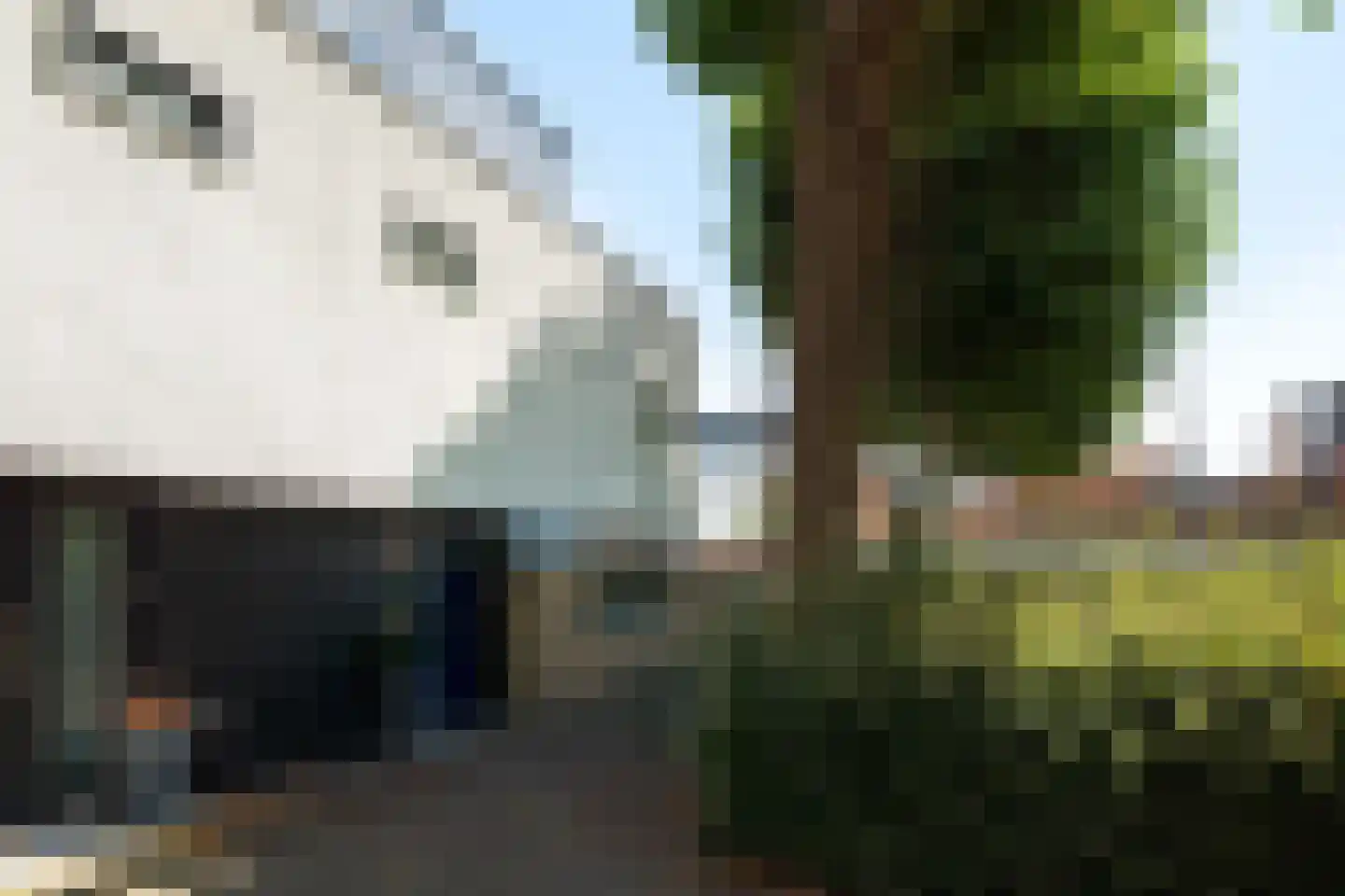 Brabantstraat 13 Alphen aan den Rijn thumbnail 6