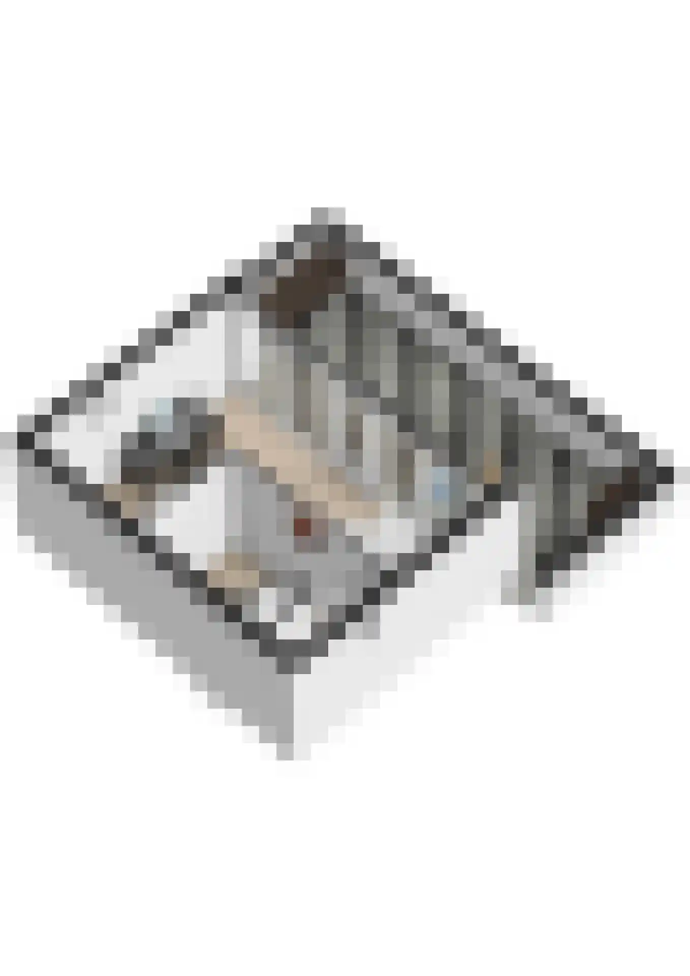 Brabantstraat 13 Alphen aan den Rijn thumbnail 61