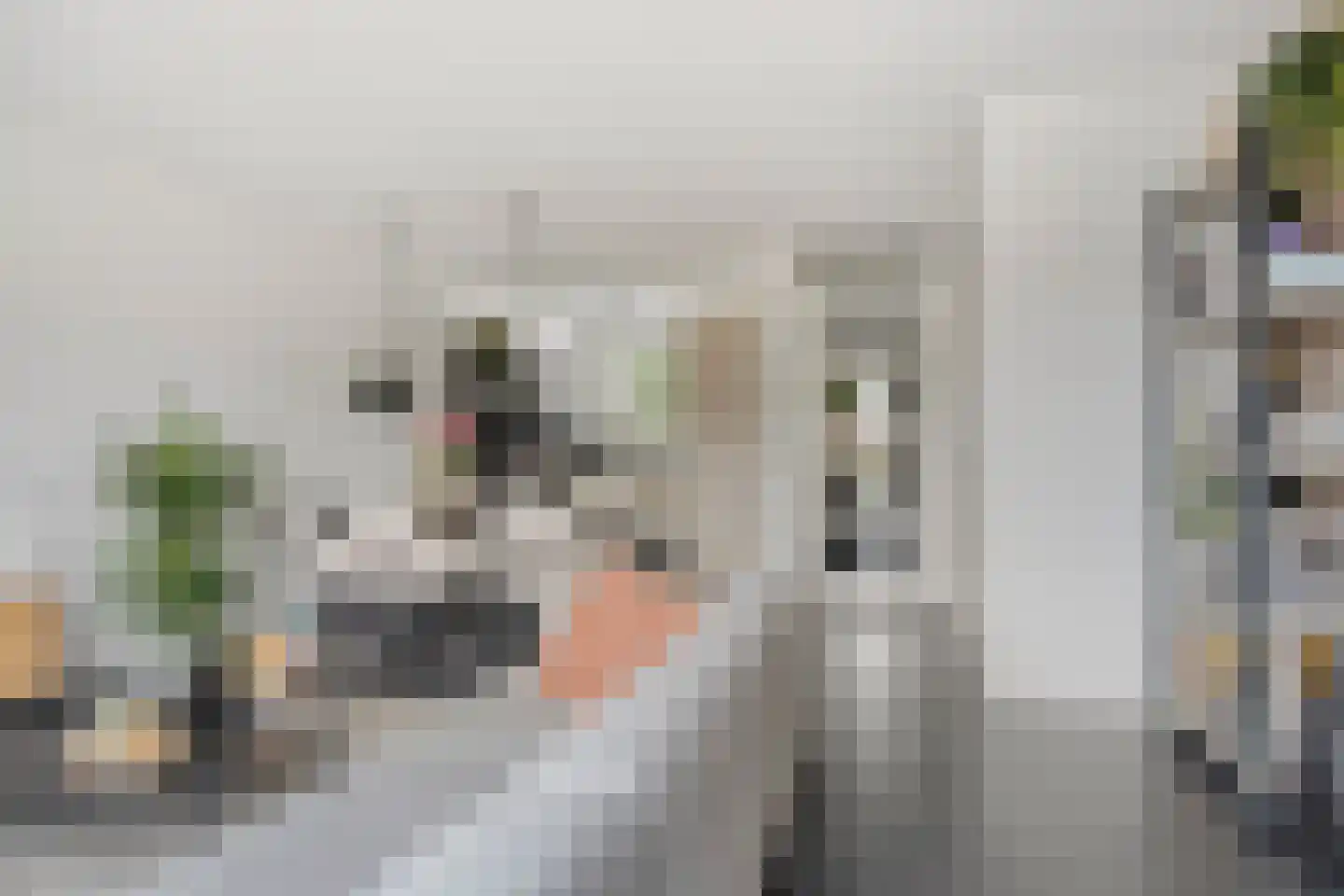 Brabantstraat 14 Terheijden thumbnail 10