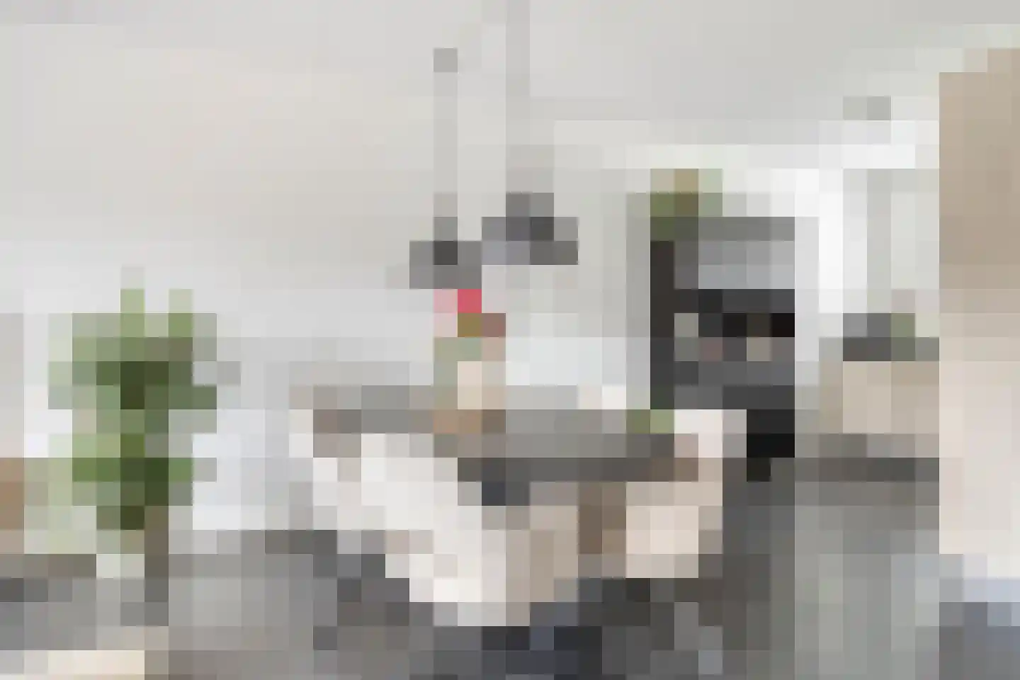 Brabantstraat 14 Terheijden thumbnail 12