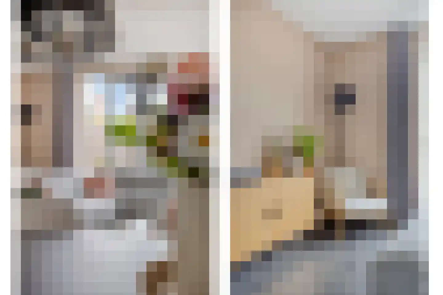 Brabantstraat 14 Terheijden thumbnail 16