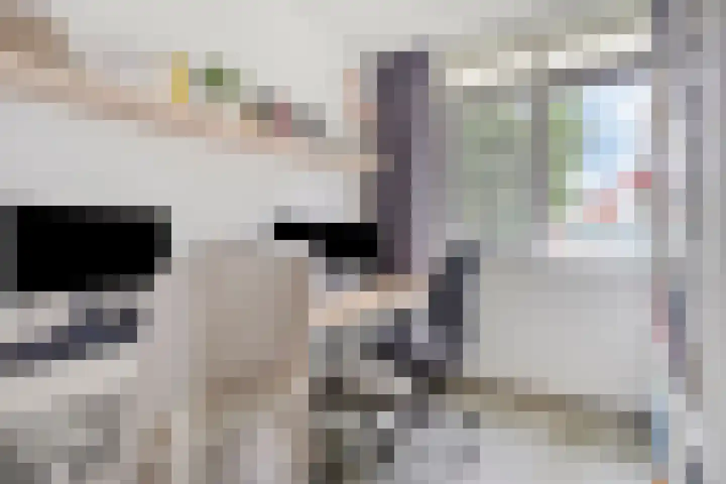 Brabantstraat 14 Terheijden thumbnail 22