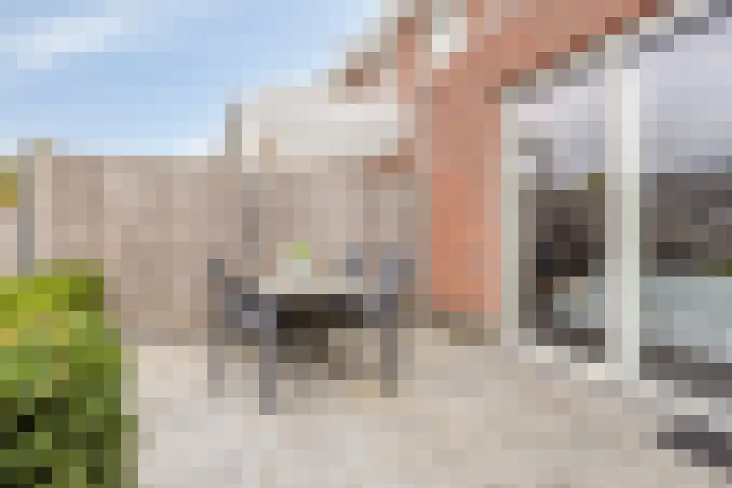 Brabantstraat 14 Terheijden thumbnail 28
