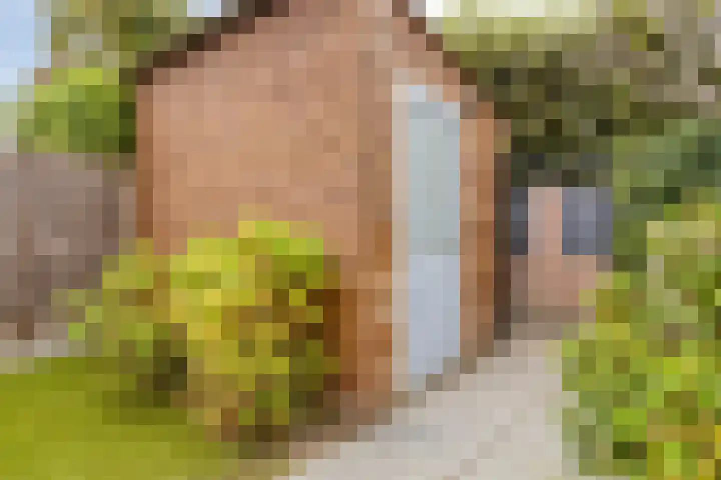 Brabantstraat 14 Terheijden thumbnail 30