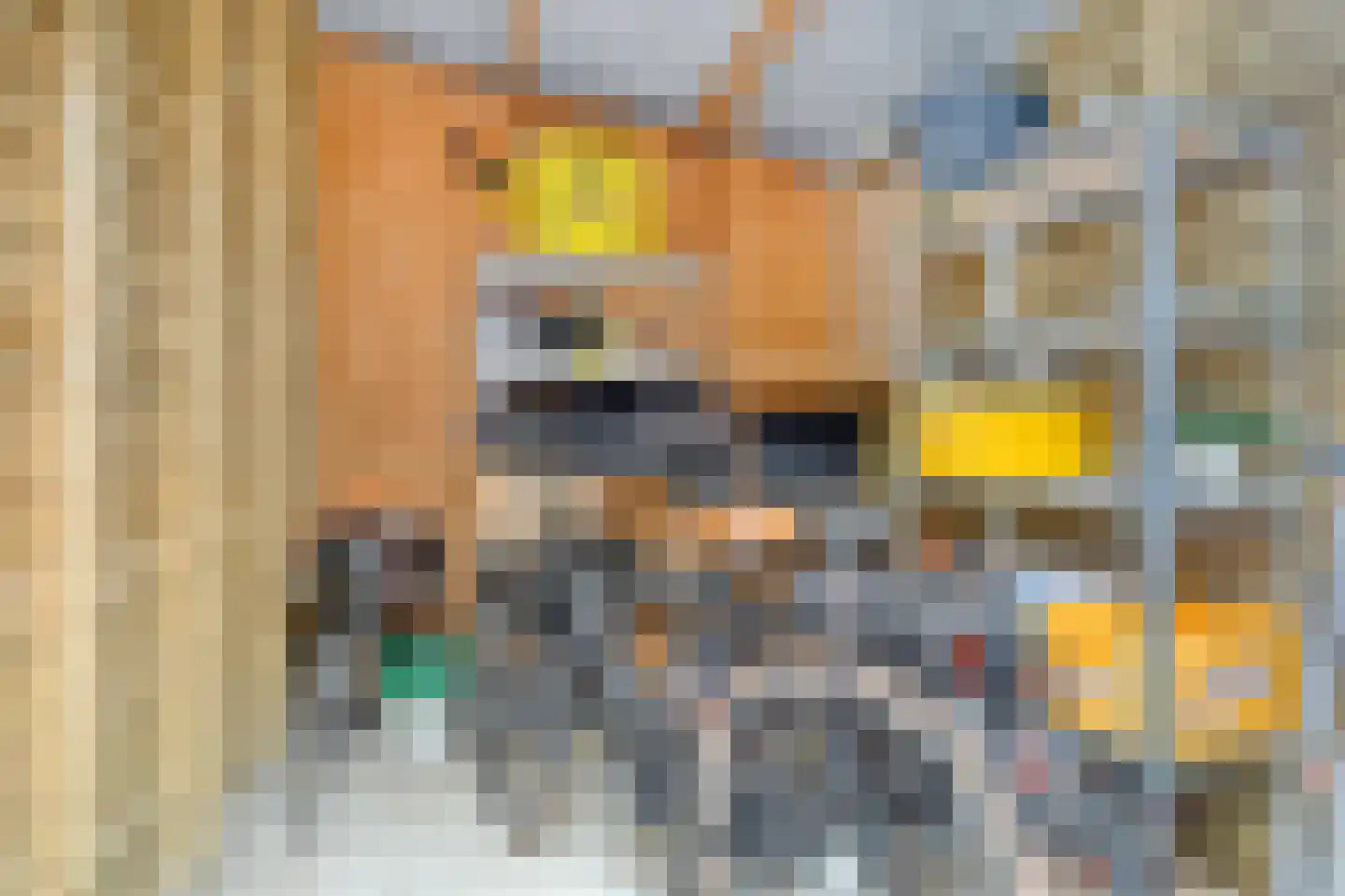 Brabantstraat 14 Terheijden thumbnail 32