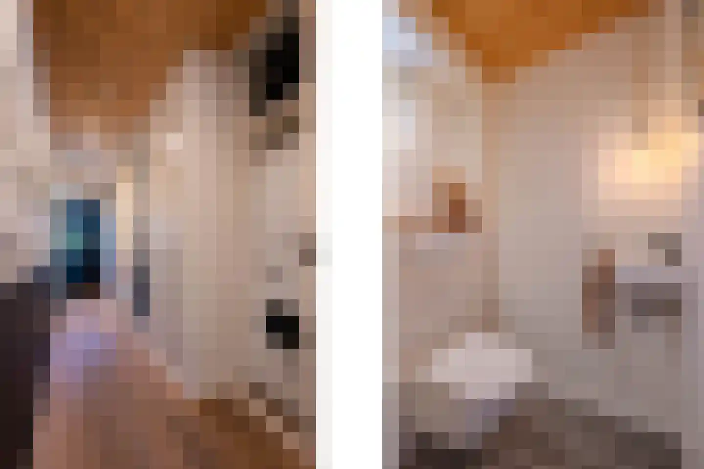 Brabantstraat 15 Deurne thumbnail 5