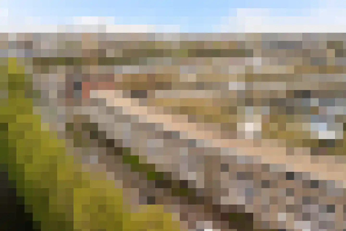 Brabantstraat 162 Alphen aan den Rijn thumbnail 7