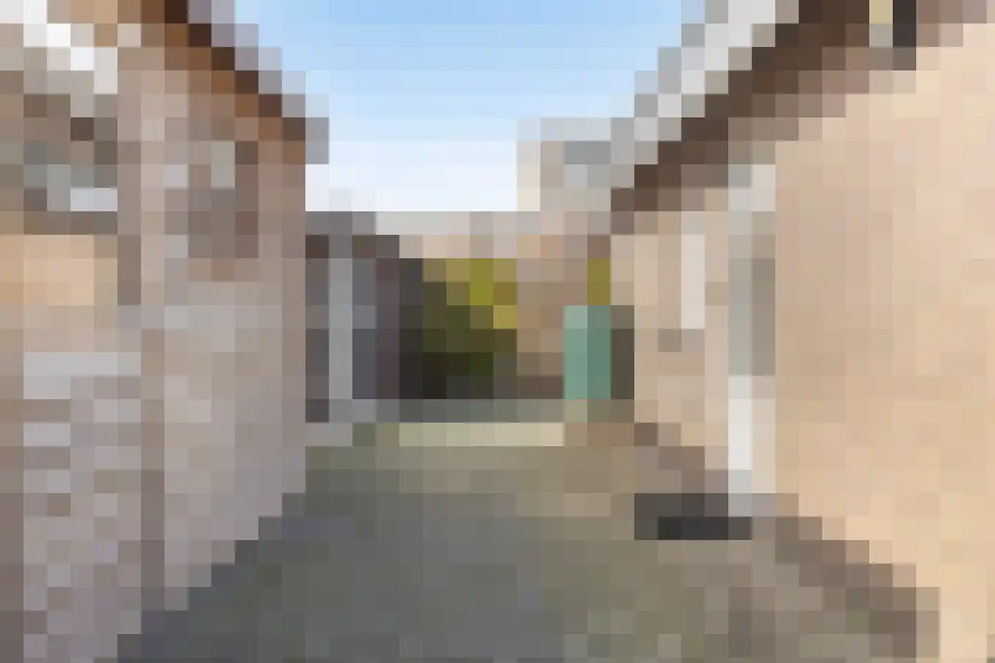 Brabantstraat 17 Herpen thumbnail 35