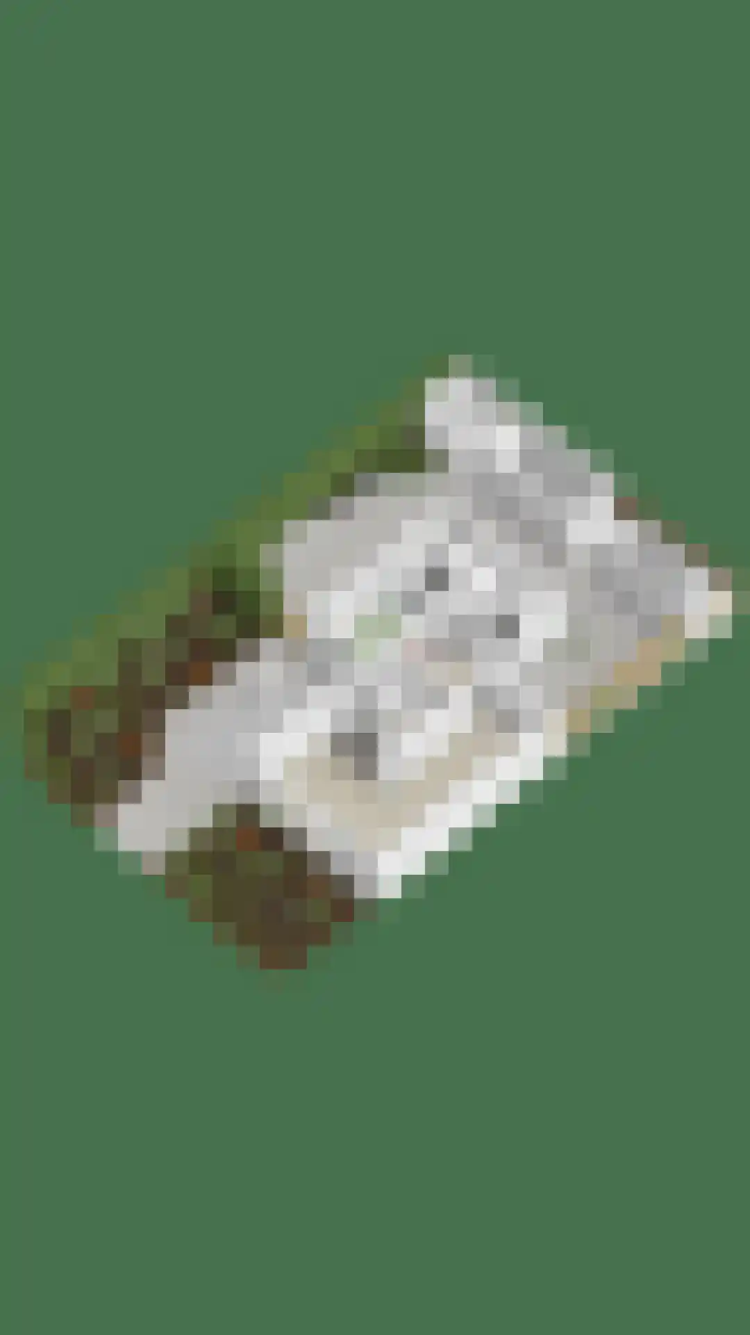 Brabantstraat 17 Herpen thumbnail 47
