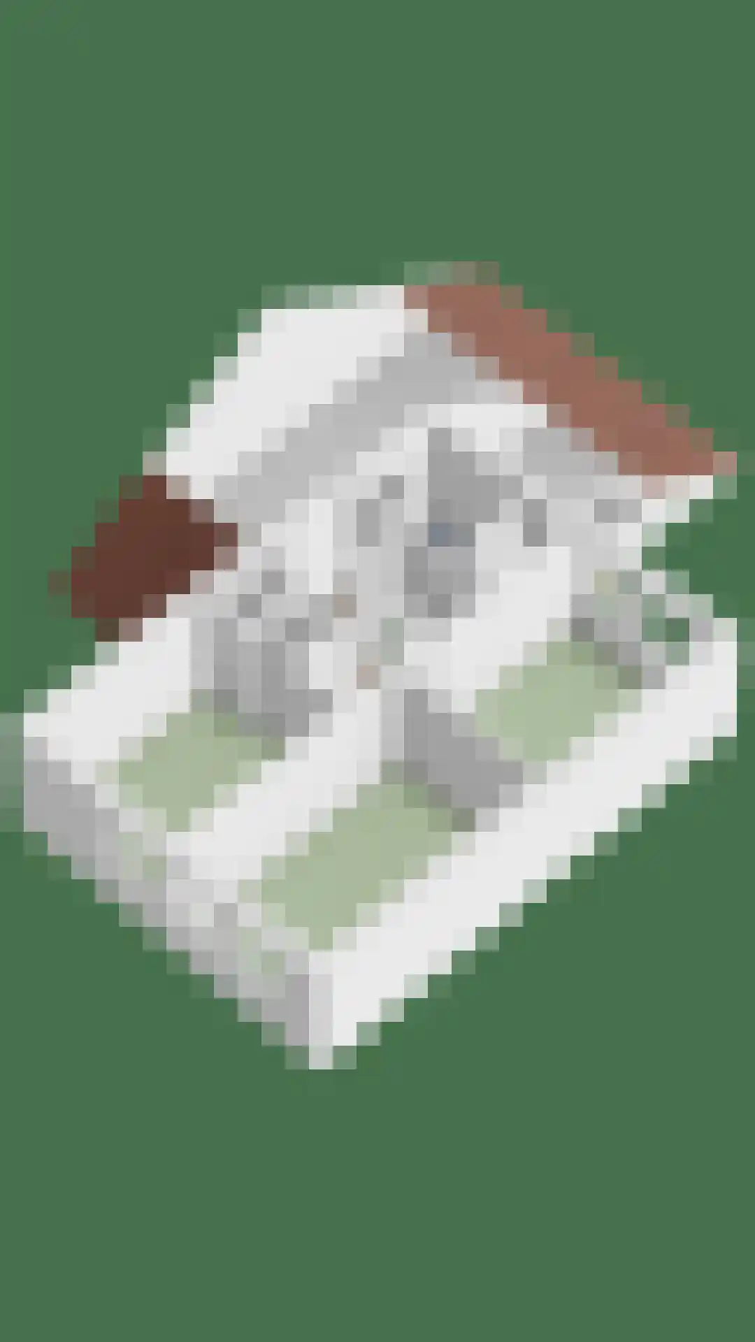 Brabantstraat 17 Herpen thumbnail 51
