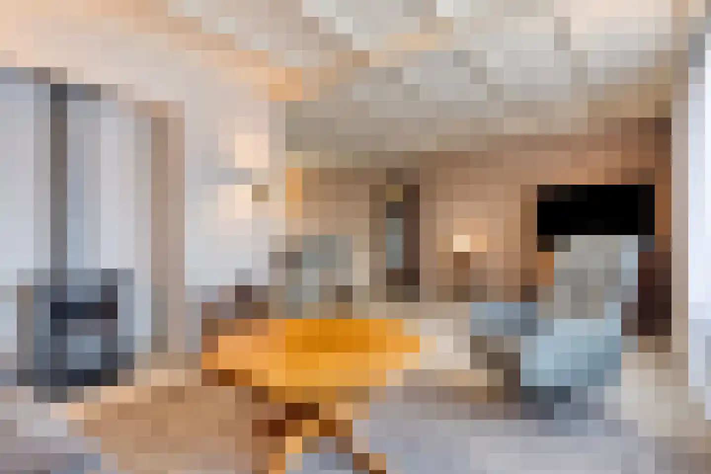 Brabantstraat 17 Herpen thumbnail 9