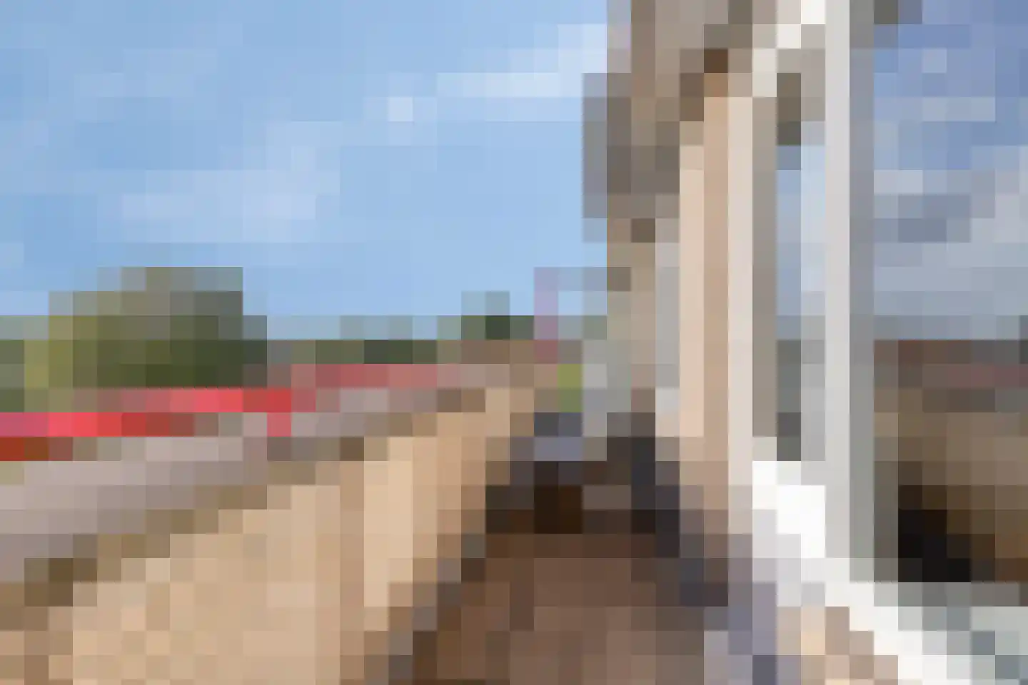 Brabantstraat 182 Alphen aan den Rijn thumbnail 24