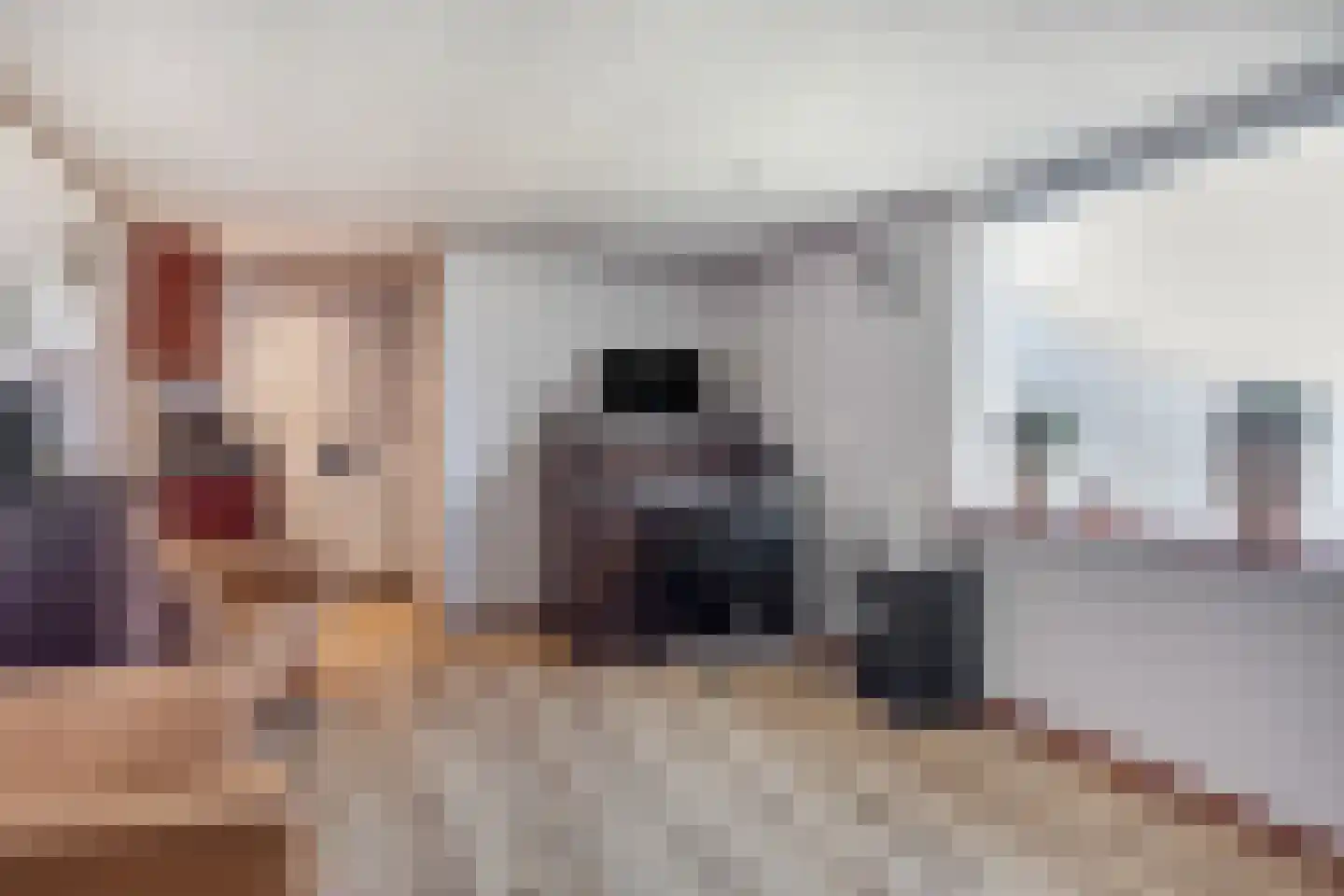 Brabantstraat 2 Prinsenbeek thumbnail 37