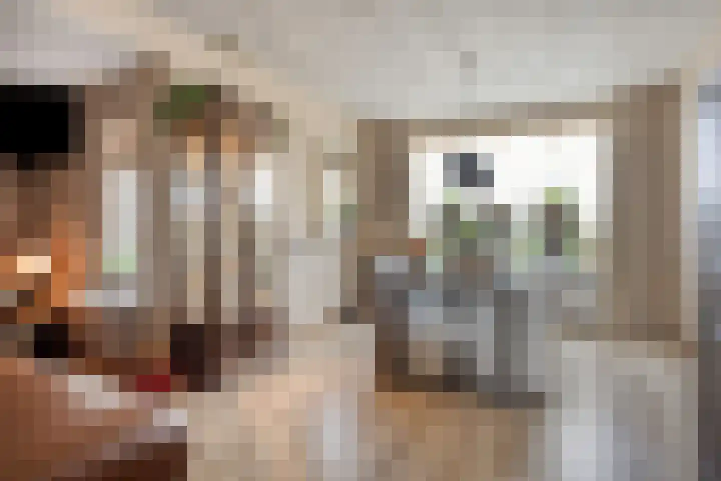 Brabantstraat 2 Prinsenbeek thumbnail 9