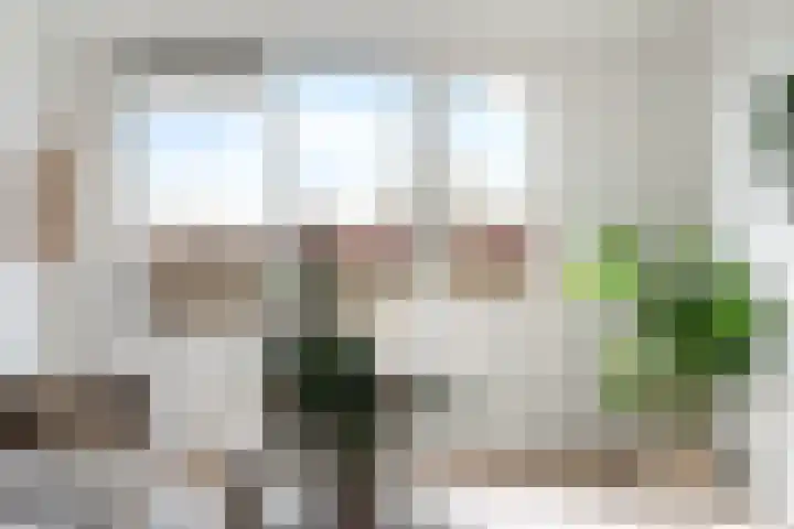 Brabantstraat 298 Alphen aan den Rijn thumbnail 16