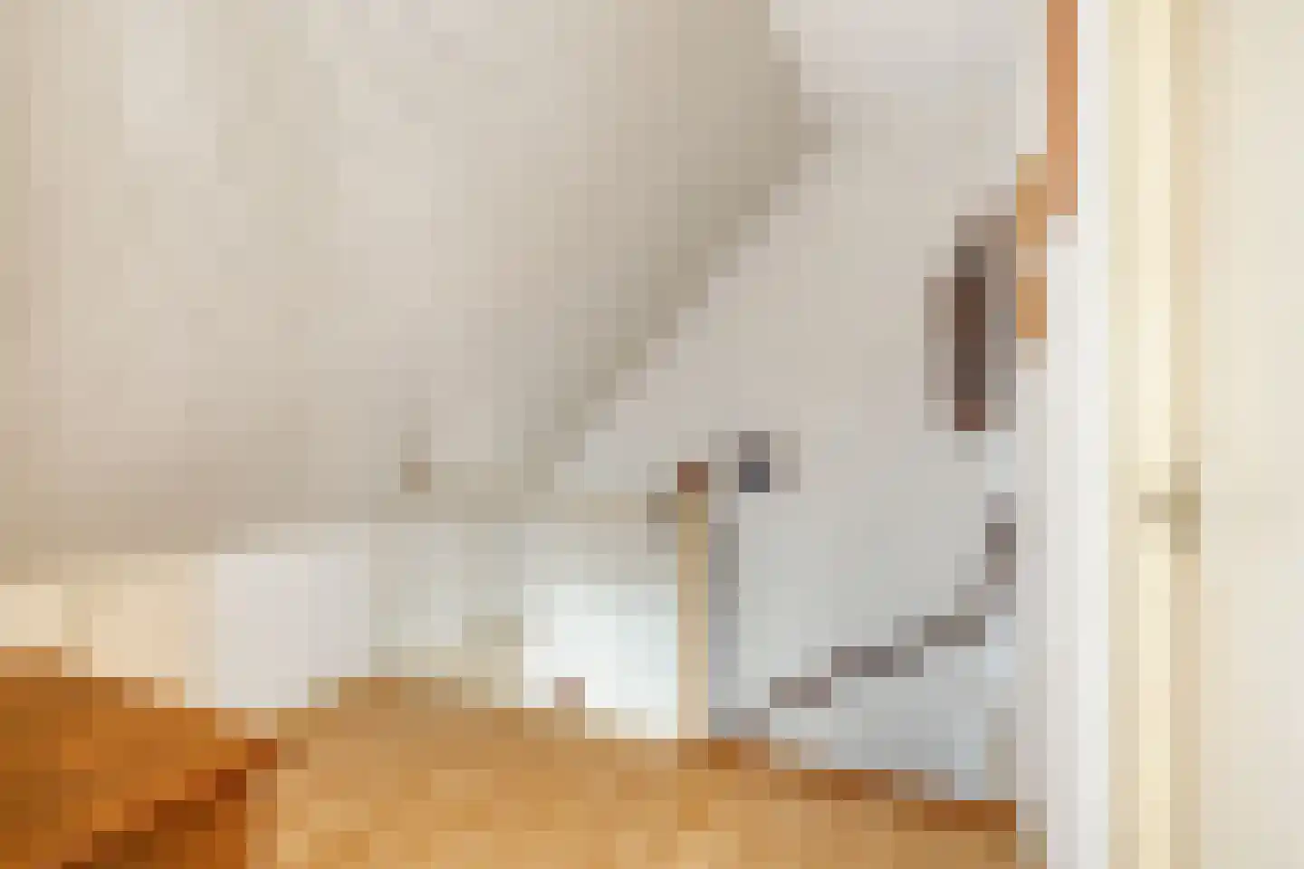 Brabantstraat 46 Herpen thumbnail 16