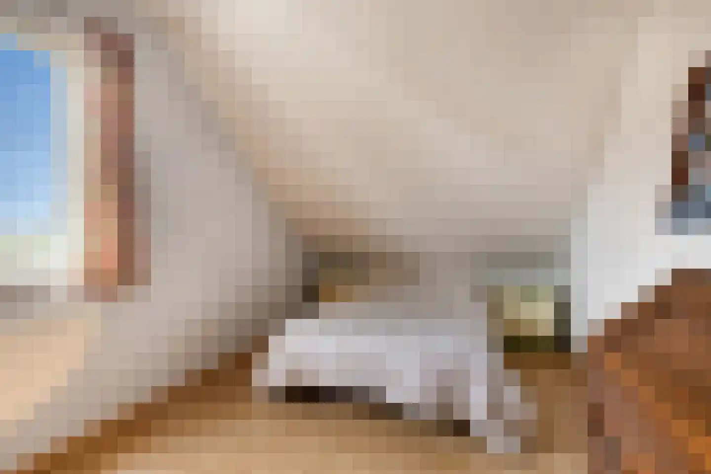 Brabantstraat 46 Herpen thumbnail 22