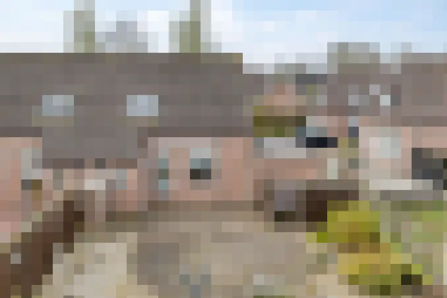 Brabantstraat 46 Herpen thumbnail 31