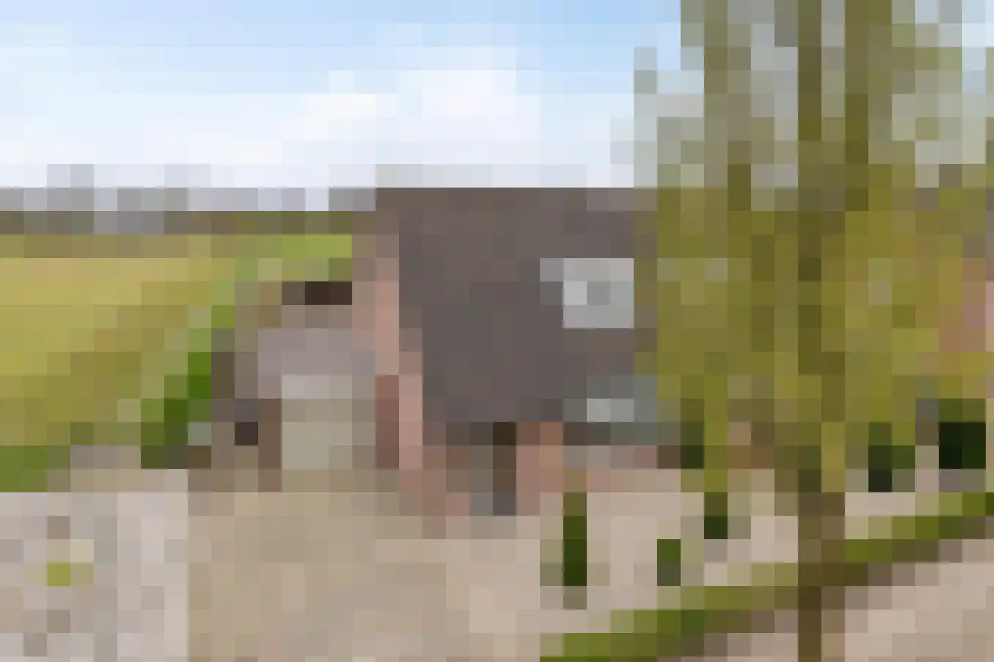 Brabantstraat 46 Herpen thumbnail 6