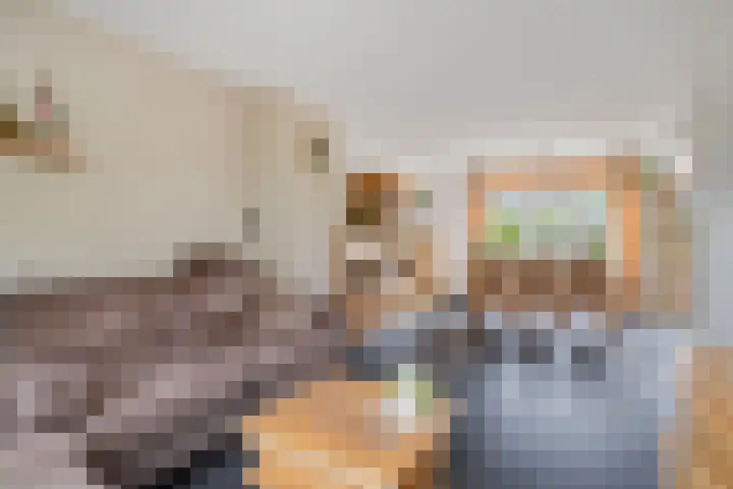 Brabantstraat 80 Prinsenbeek thumbnail 7