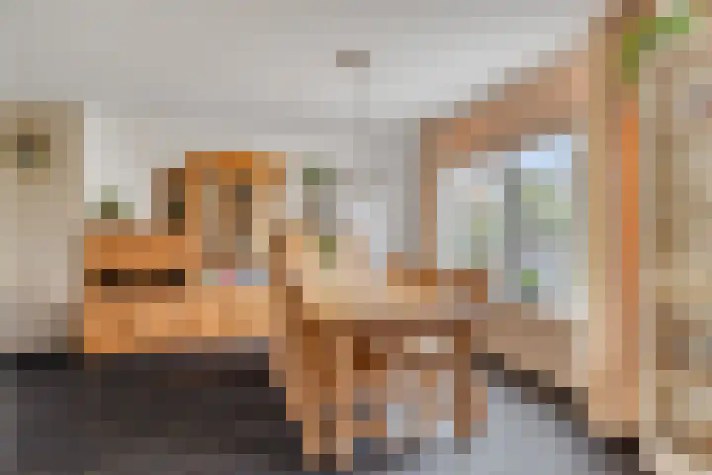 Brabantstraat 80 Prinsenbeek thumbnail 9