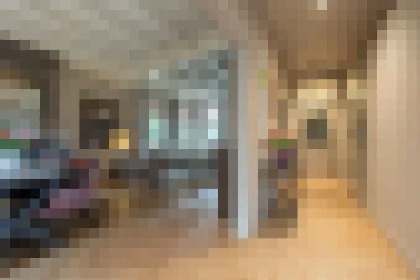 Brabersweg 25 Mijnsheerenland thumbnail 10