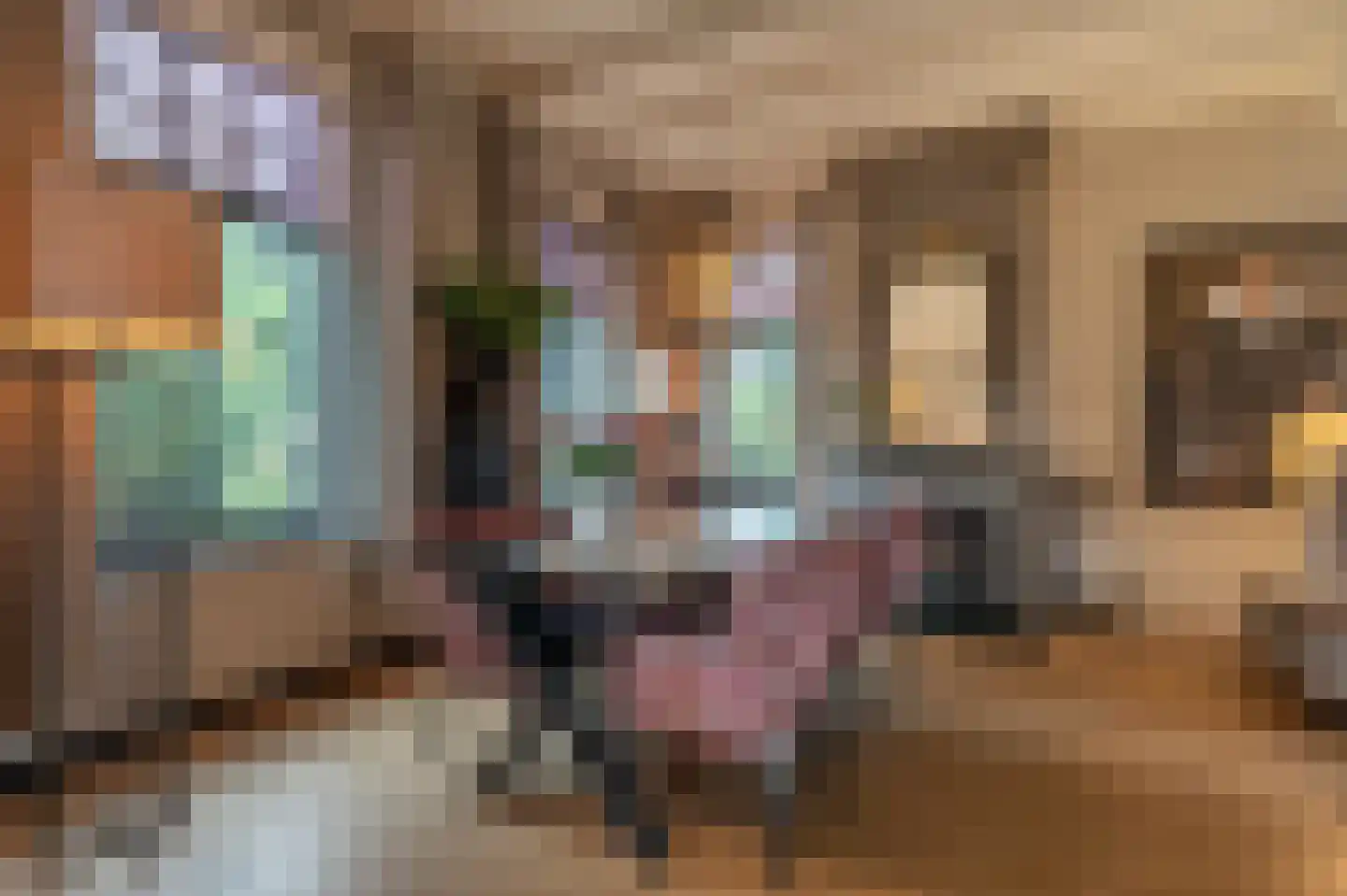 Brabersweg 25 Mijnsheerenland thumbnail 11