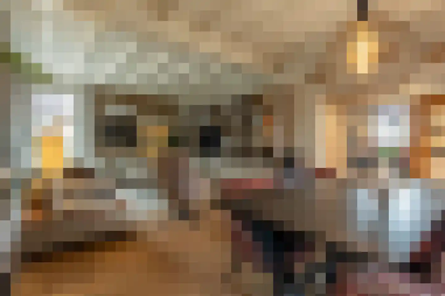 Brabersweg 25 Mijnsheerenland thumbnail 12