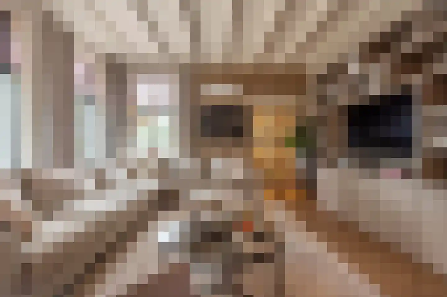 Brabersweg 25 Mijnsheerenland thumbnail 13