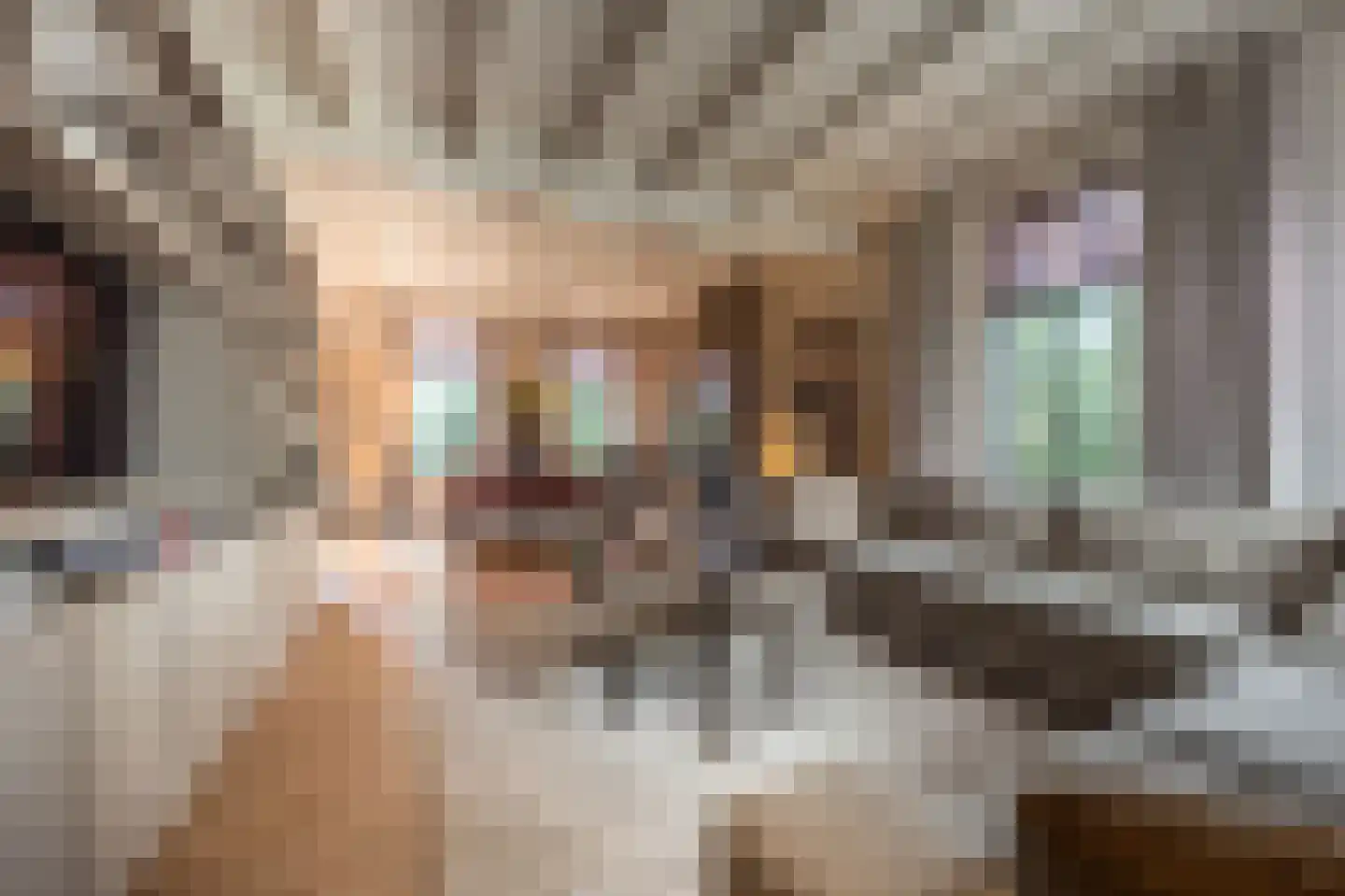 Brabersweg 25 Mijnsheerenland thumbnail 14