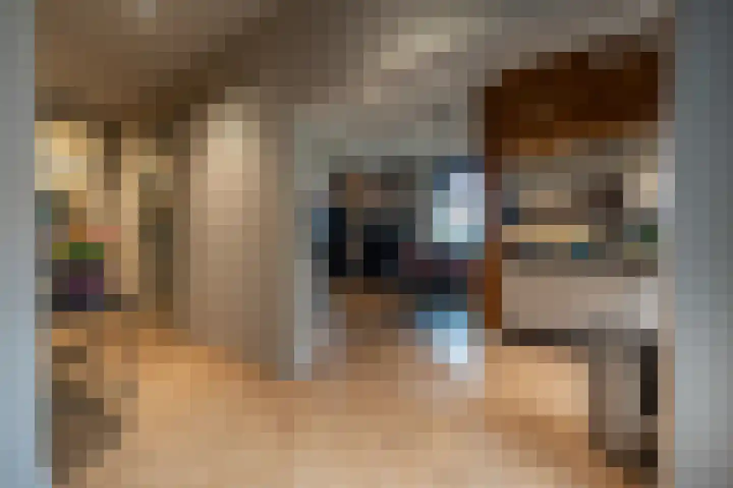 Brabersweg 25 Mijnsheerenland thumbnail 16