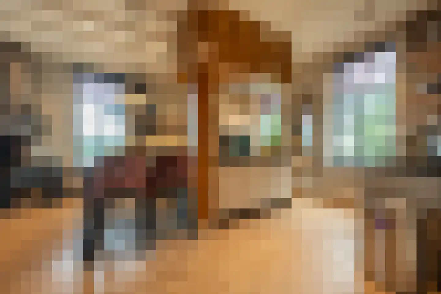 Brabersweg 25 Mijnsheerenland thumbnail 17
