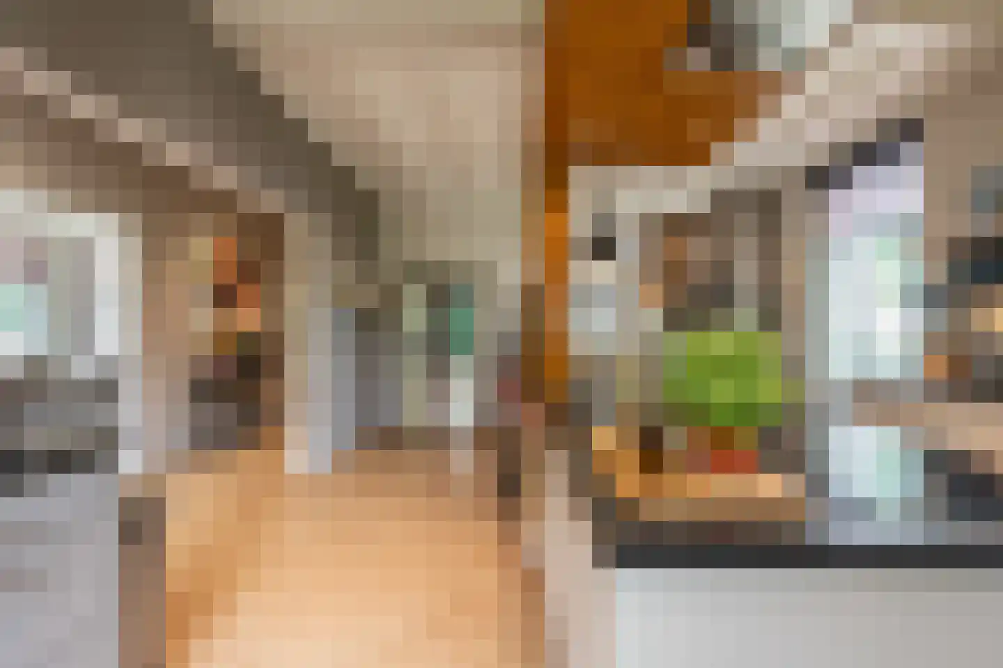 Brabersweg 25 Mijnsheerenland thumbnail 18