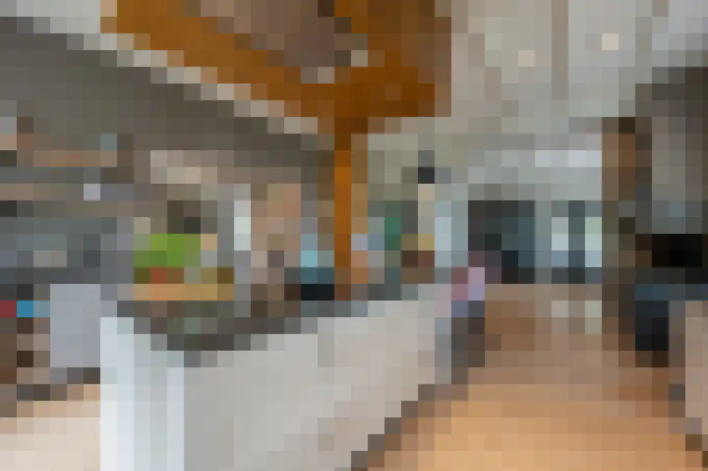 Brabersweg 25 Mijnsheerenland thumbnail 19