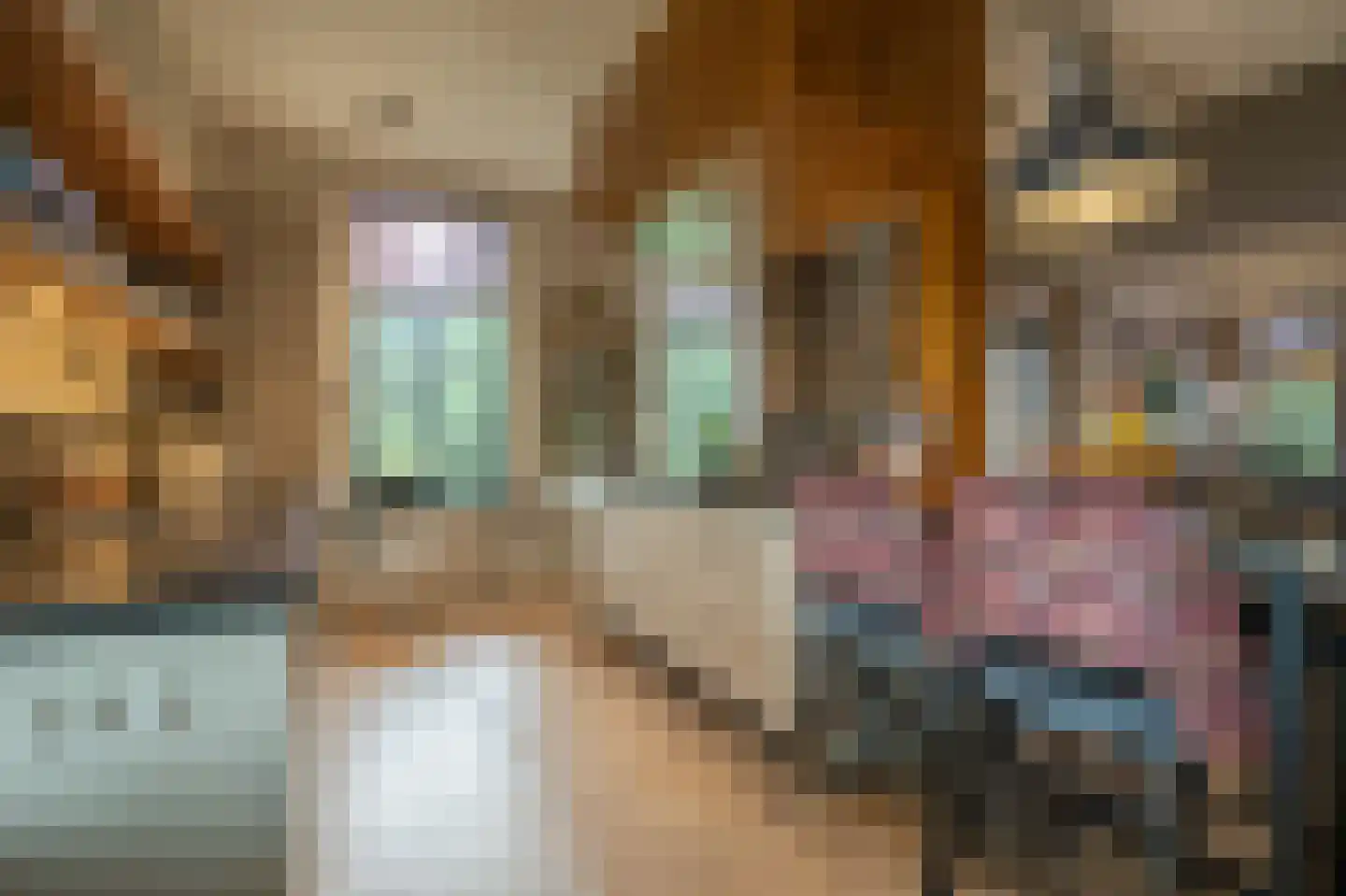 Brabersweg 25 Mijnsheerenland thumbnail 20
