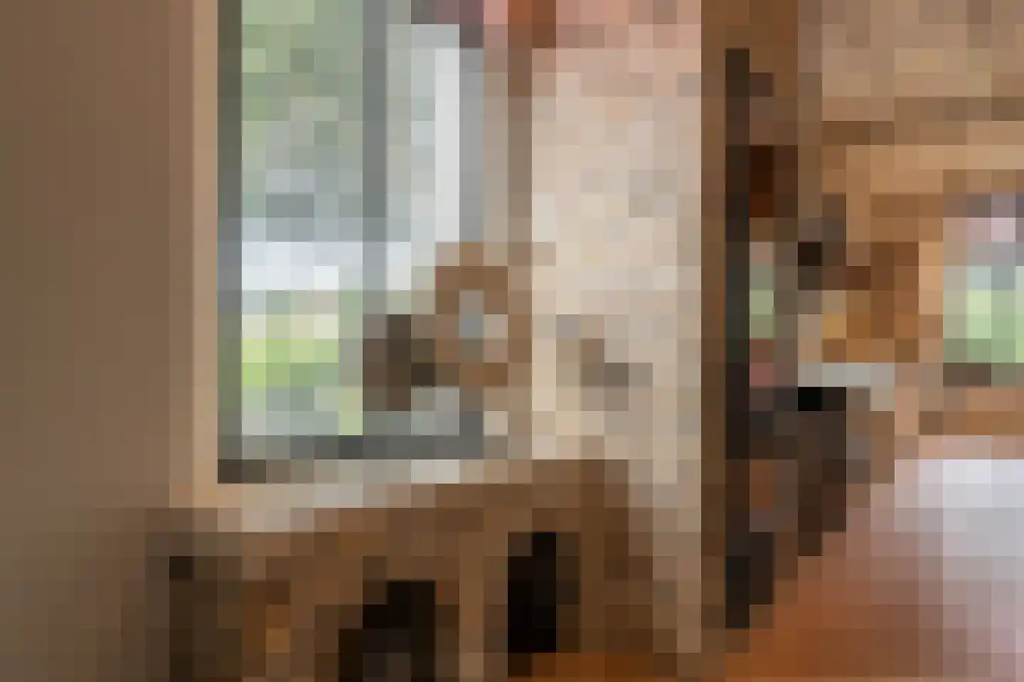 Brabersweg 25 Mijnsheerenland thumbnail 22