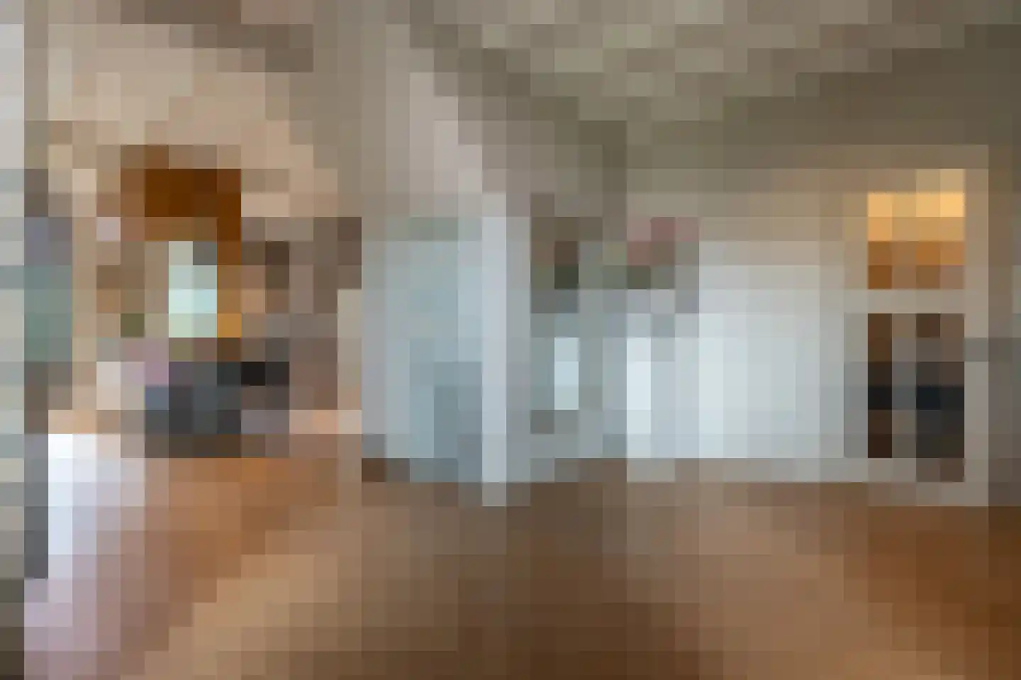 Brabersweg 25 Mijnsheerenland thumbnail 23