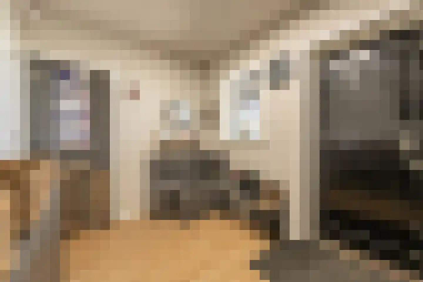 Brabersweg 25 Mijnsheerenland thumbnail 24