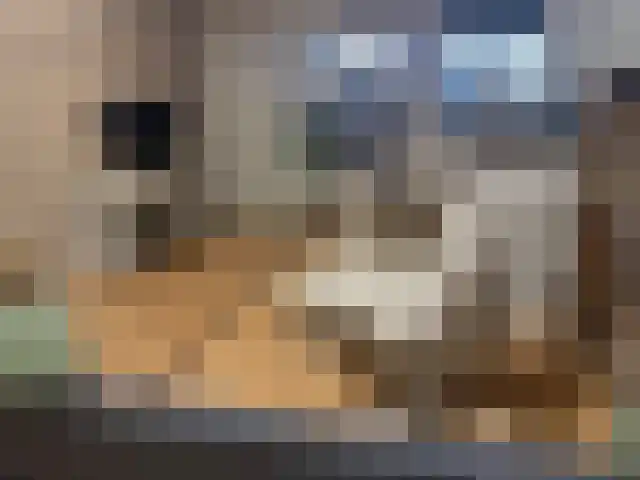 Brabersweg 25 Mijnsheerenland thumbnail 26