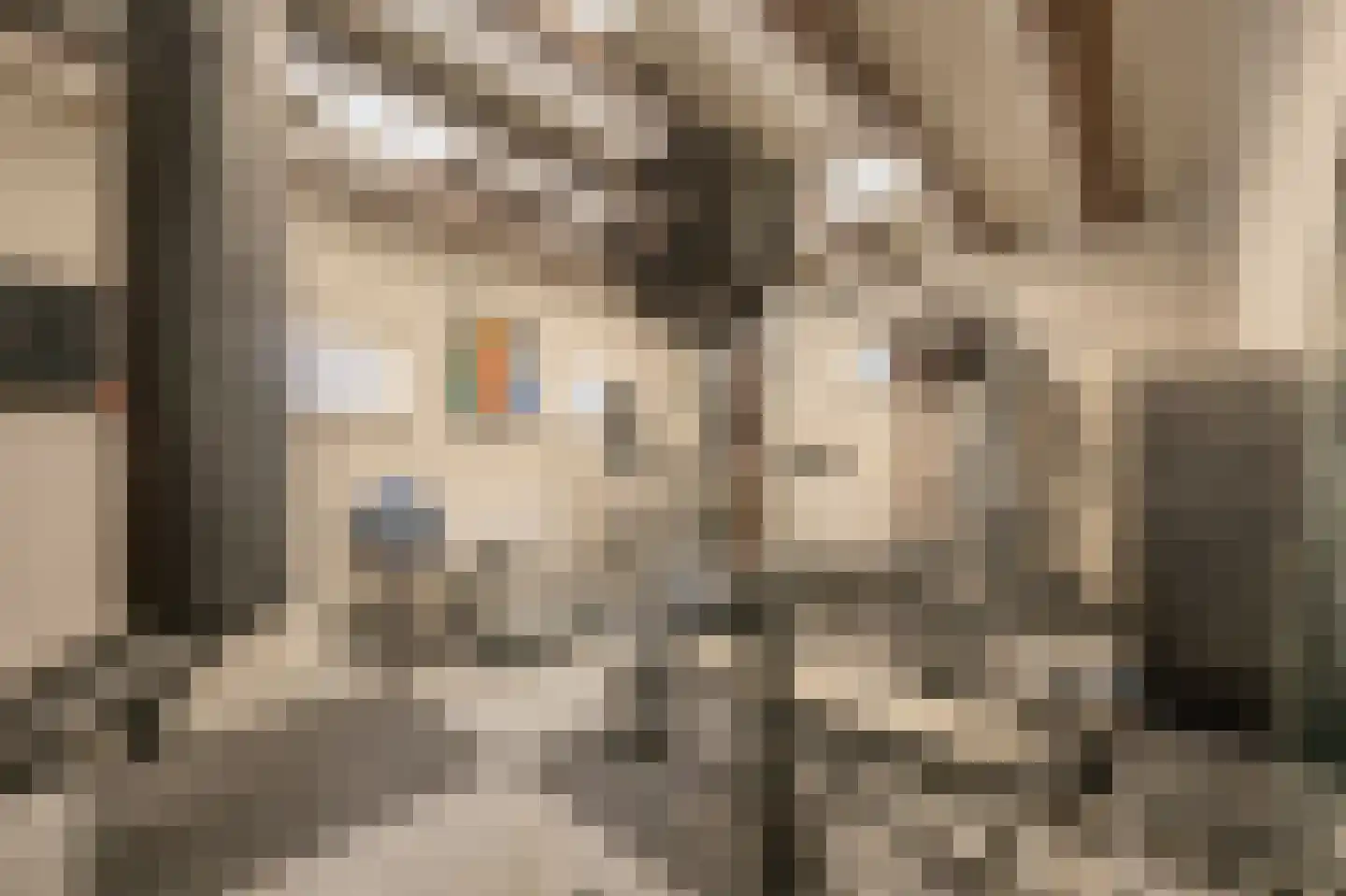 Brabersweg 25 Mijnsheerenland thumbnail 28