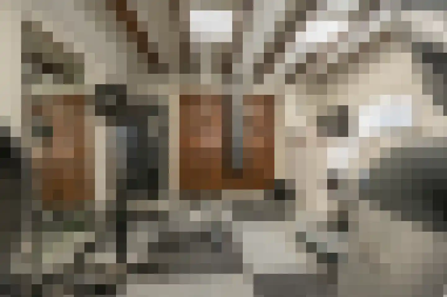Brabersweg 25 Mijnsheerenland thumbnail 29